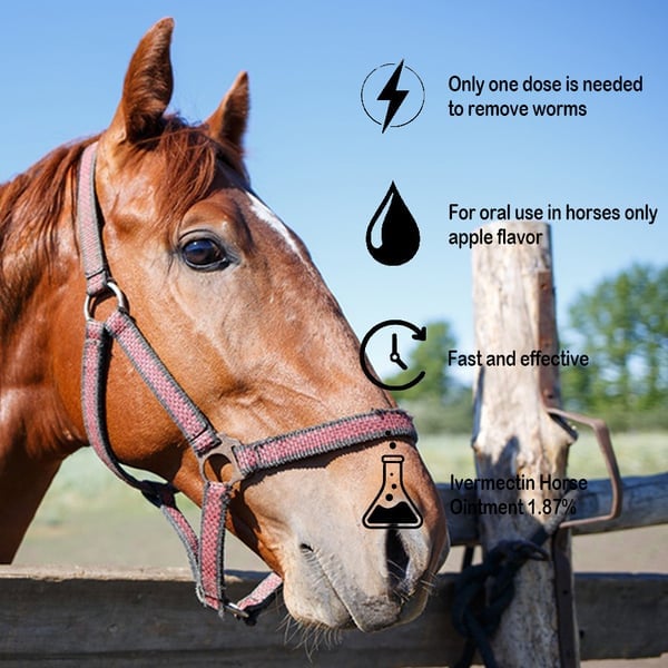 🔥Sista dagen 49 % RABATT – Ivermectin Horse Paste 1,87 % 6,08 g tuber