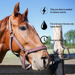 Ladda upp bild till gallerivisning, 🔥Sista dagen 49 % RABATT – Ivermectin Horse Paste 1,87 % 6,08 g tuber
