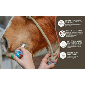 🔥Sista dagen 49 % RABATT – Ivermectin Horse Paste 1,87 % 6,08 g tuber