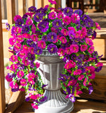 Ladda upp bild till gallerivisning, Perfekt trädgårdsdekoration - 🌺 Simulering Eukalyptus Petunia Vinstock
