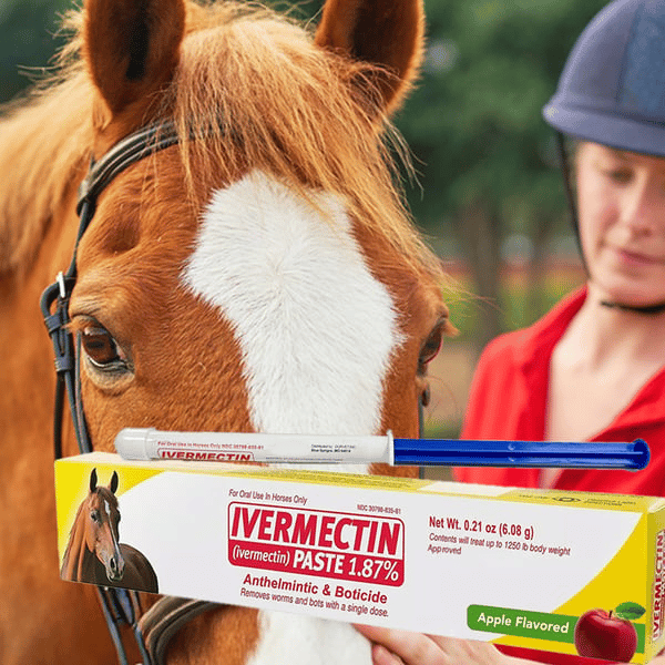 🔥Sista dagen 49 % RABATT – Ivermectin Horse Paste 1,87 % 6,08 g tuber